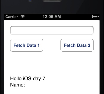 iOS App After Fetching Data